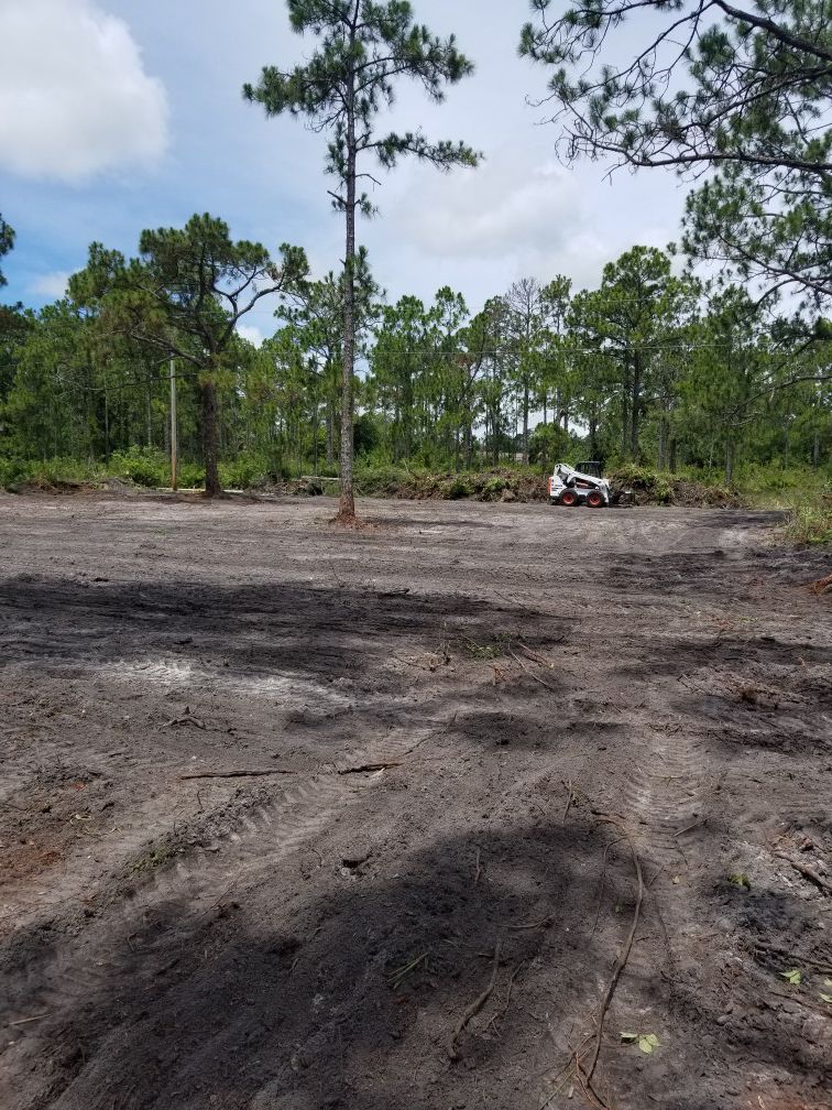 LOT CLEARING / BOBCAT SERVICE / PROPERTY CLEAN UP