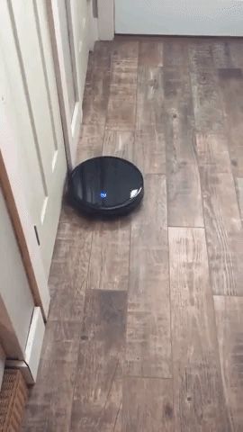 Shark Robot Vacmop