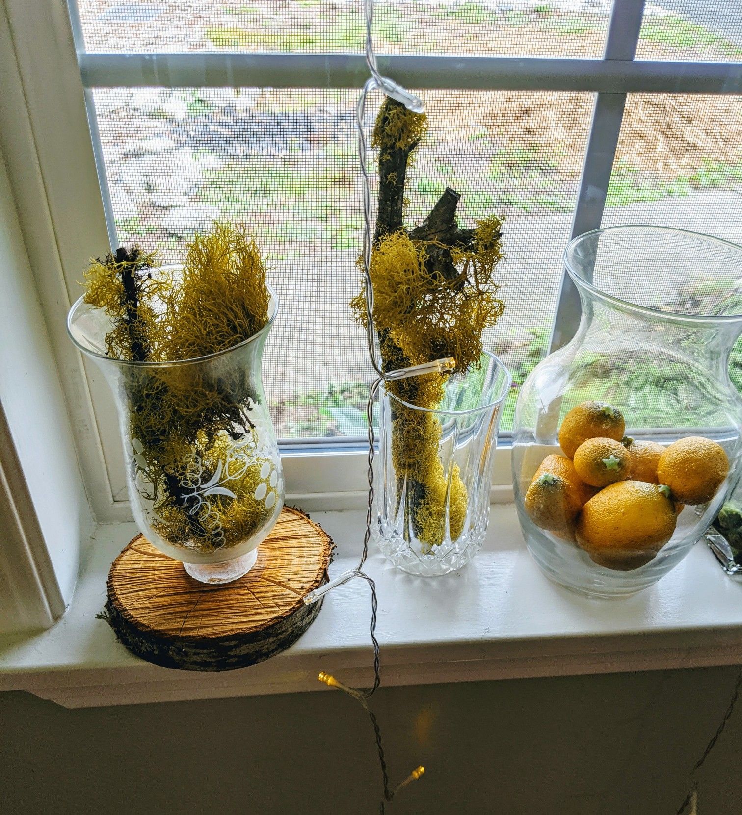 Wooden barrel apothecary jar moss stick glass vase crystal cup handmade fairy jar incense sticks wood round base hurricane candle holder potpourri