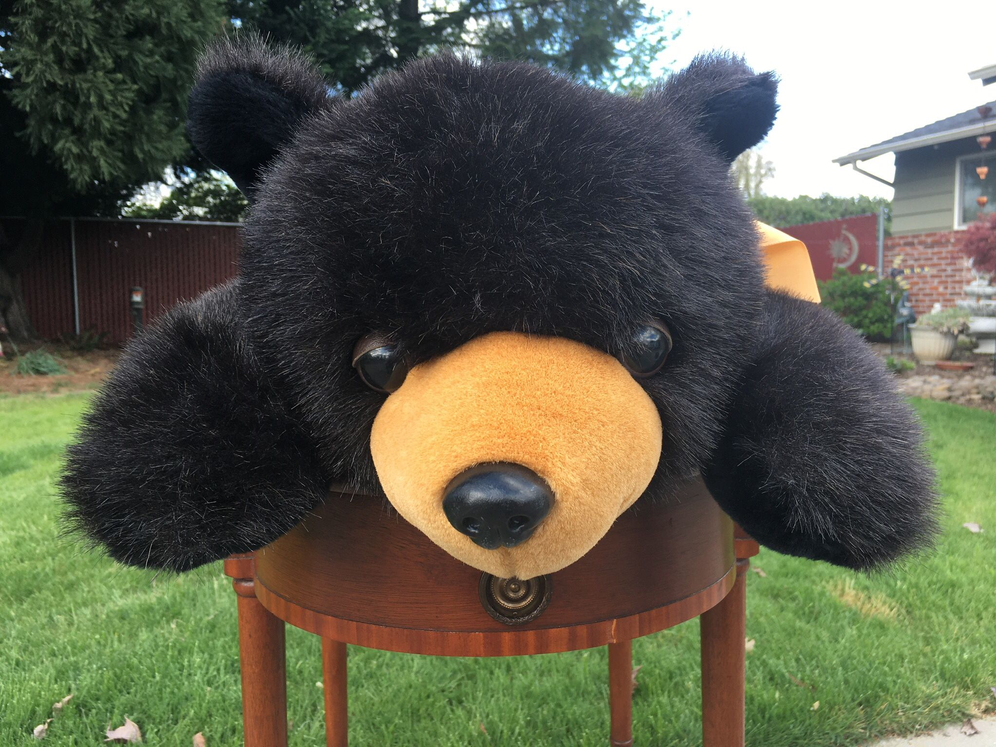 Stuffed Grizzly Bear