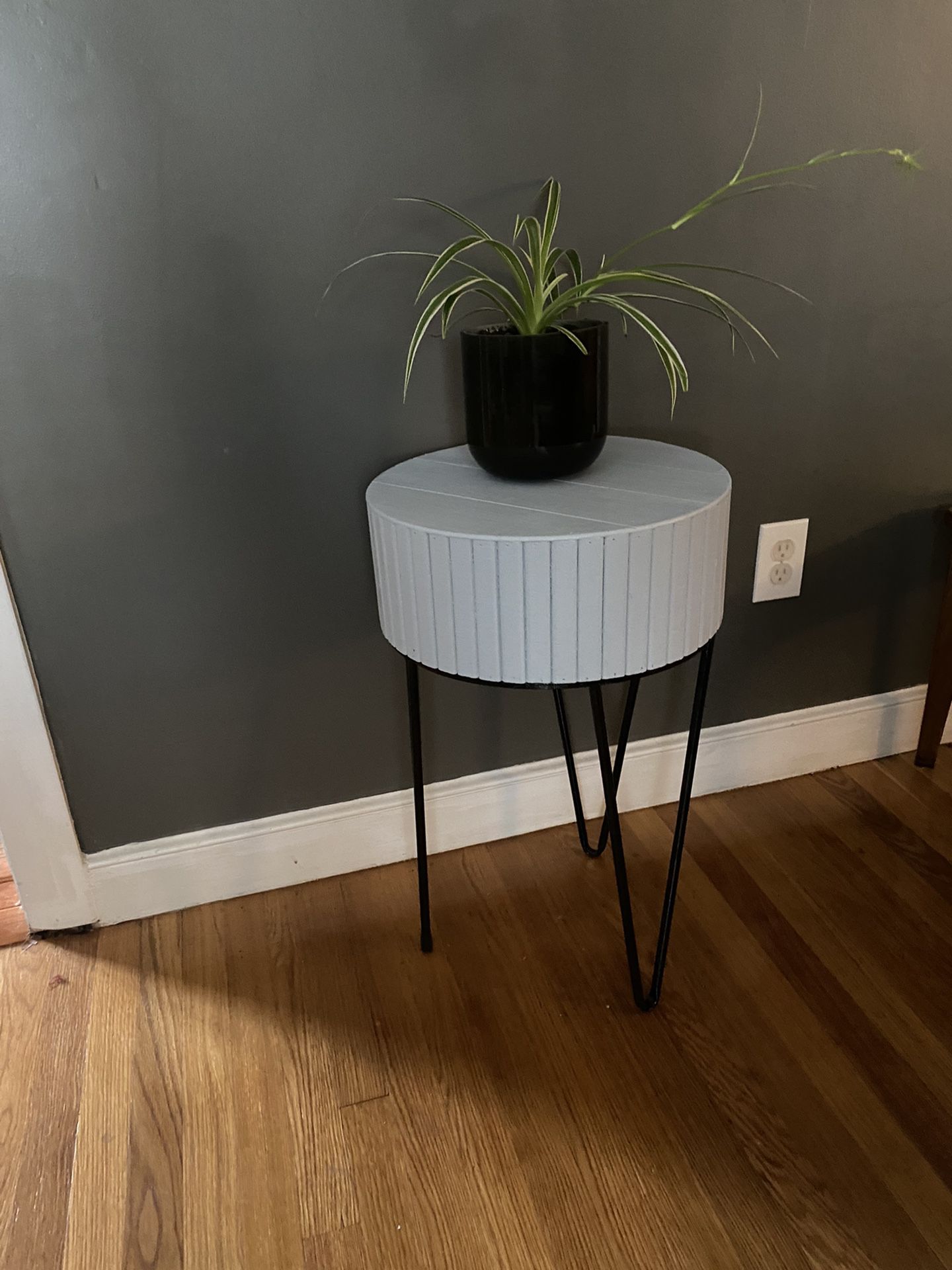 Plant And Stand