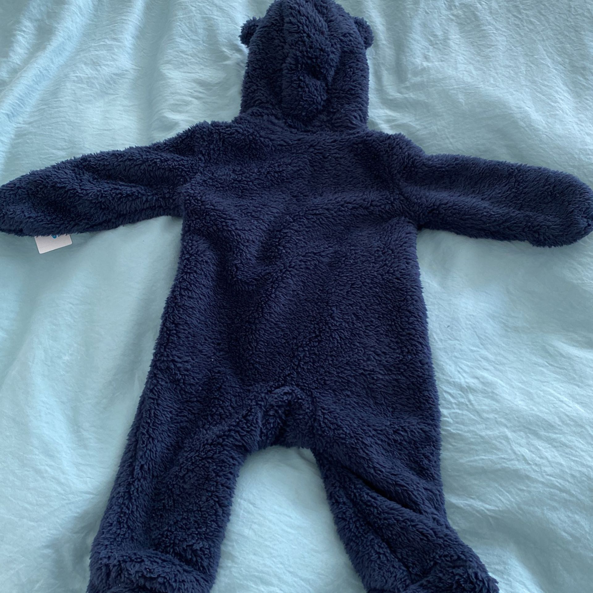 Carter’s Bear Suit Costume