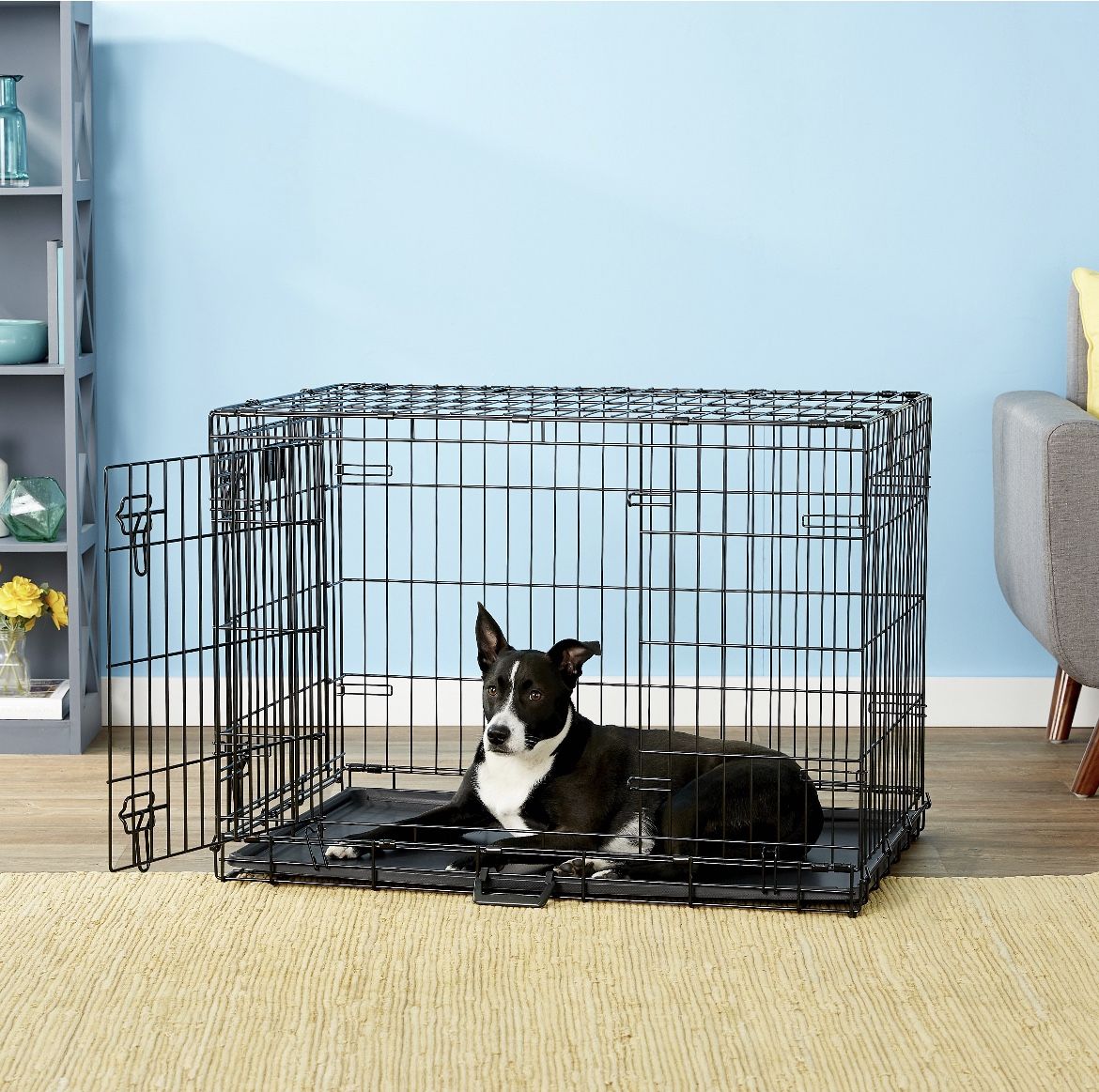 Midwest Lifestages Double Door Collapsible Wire Crate with Divider, Intermediate