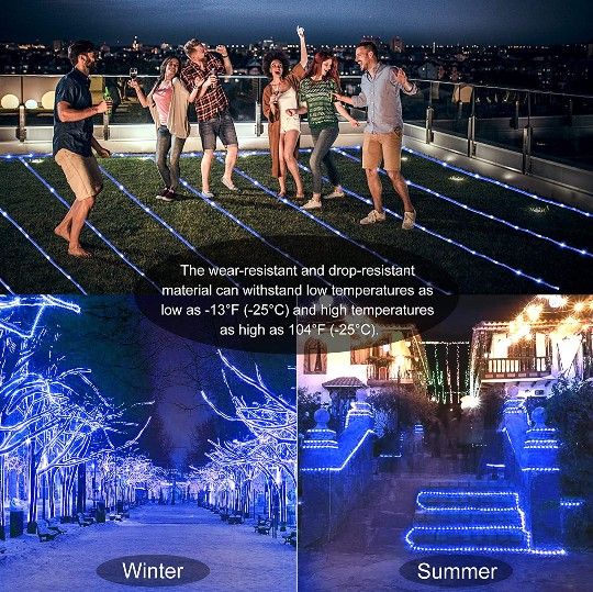 Rope Lights 99ft 720 LED 8 Modes Twinkle Durable Flexible Lights with Timer & Memory for Xmas Decor Patio Pool Bedroom Landscape Lighting