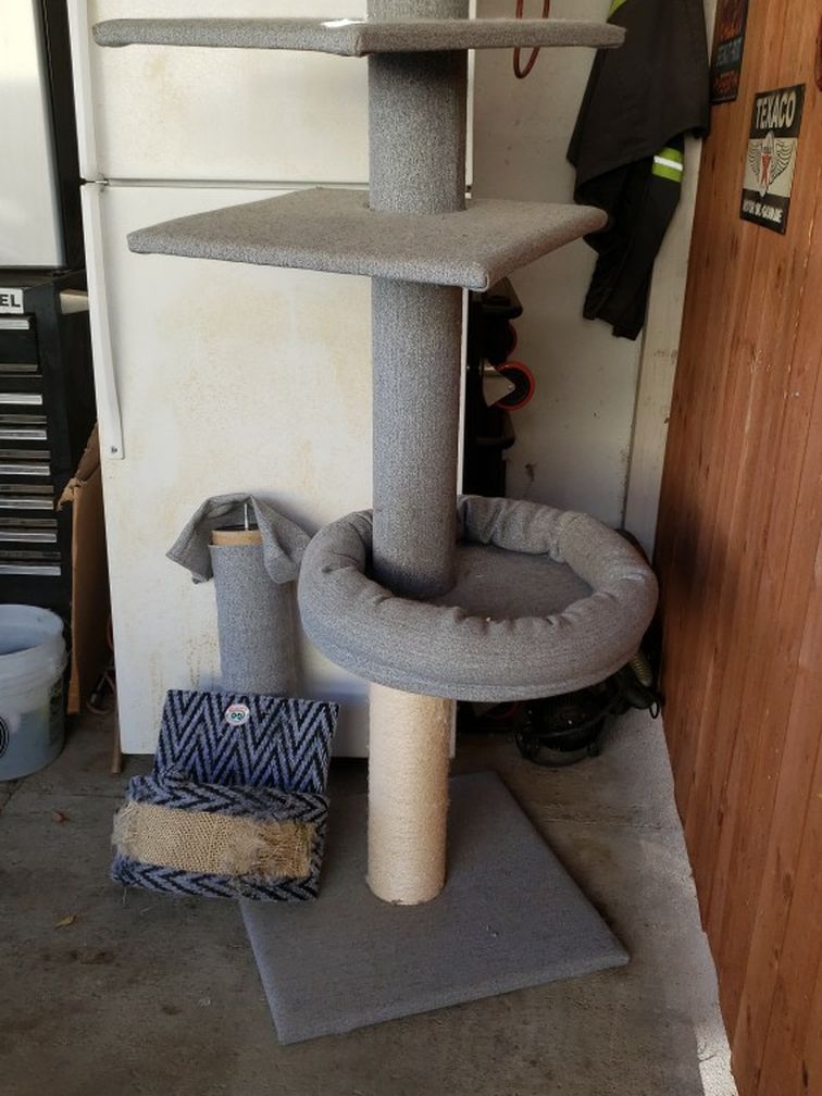 Trepador Para Gatos Se Puede Aser Differences Niveles