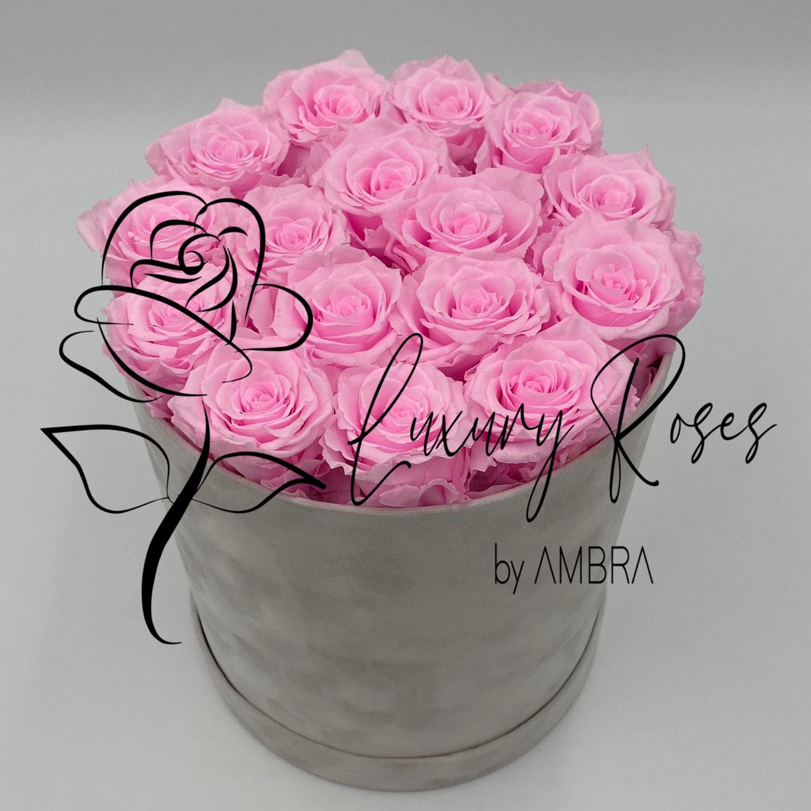 Mother’s Day Eternal Box light pink Roses Velvet Gift Real Preserved Flowers Bouquet Bucket Anniversary Birthday Present Handmade immortal Gift   