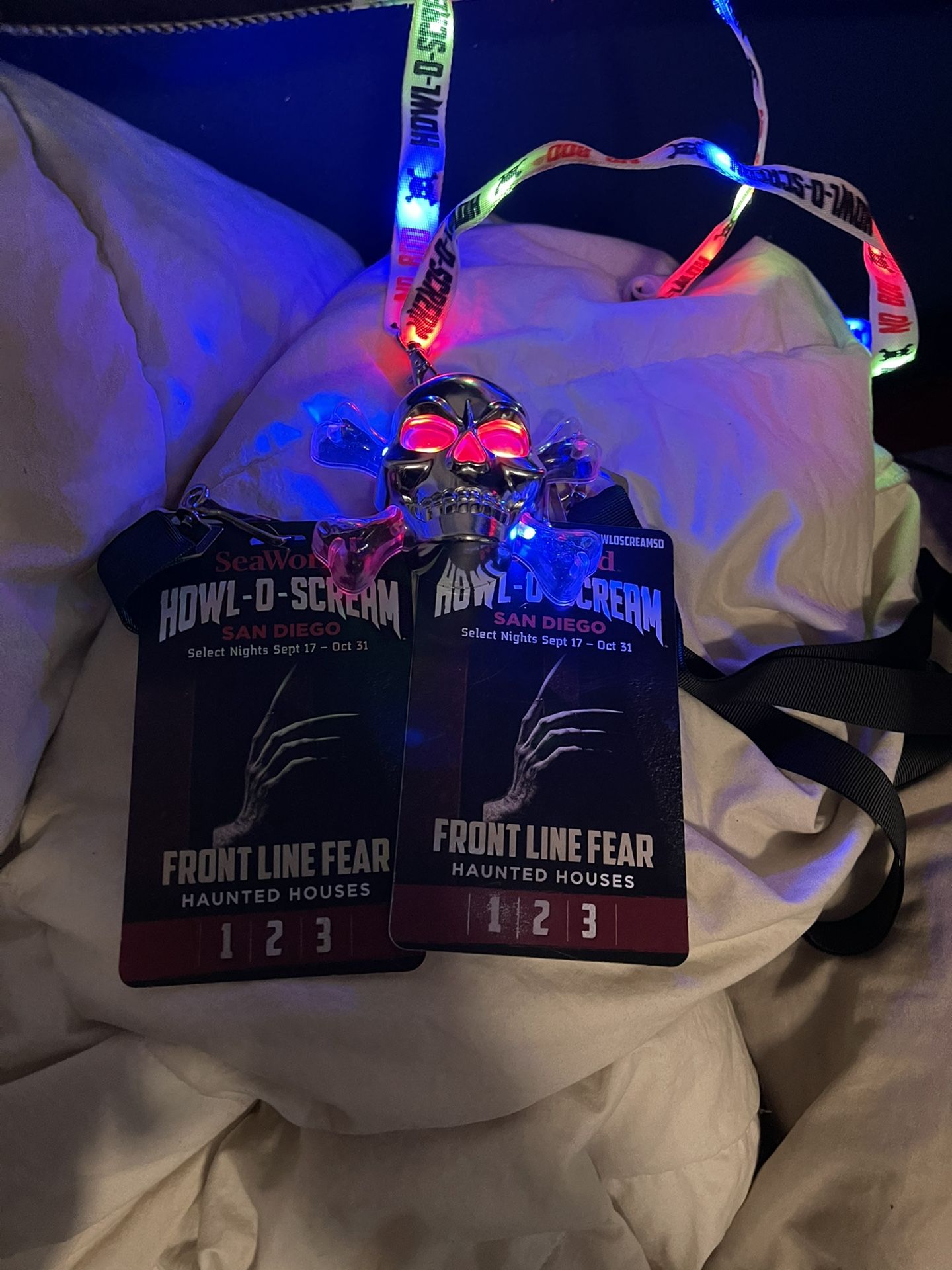 SeaWorld Howl O Screm Font Line Pass