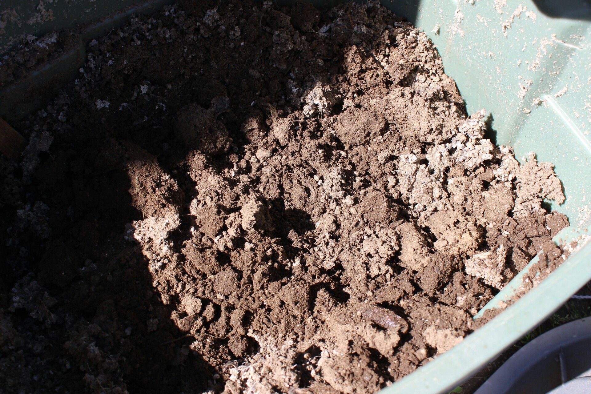 Quail Poop Fertilizer! for Sale in Rialto, CA OfferUp
