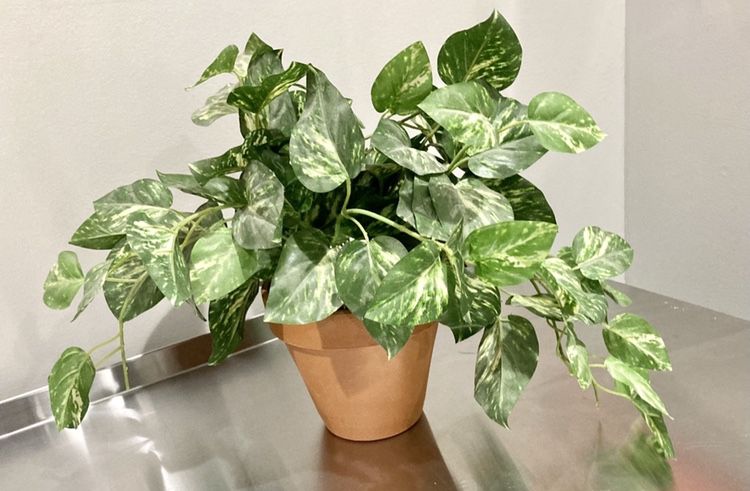 Potted Artificial Ivy Plant 