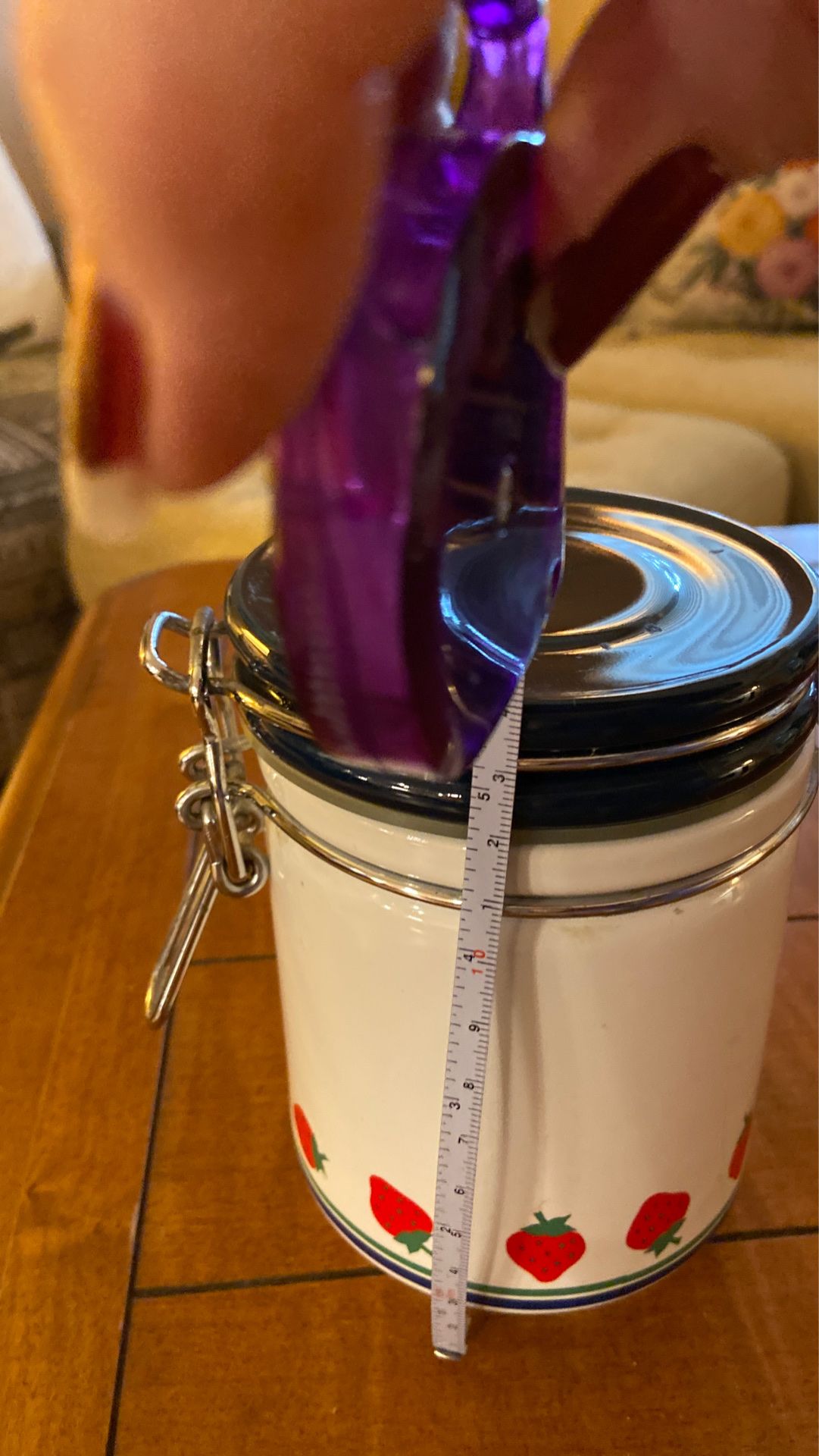 Ceramic sealed canister- kitchen