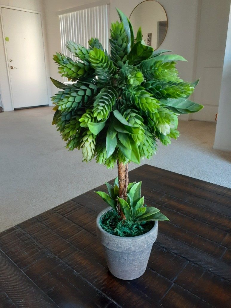 Fake Plant