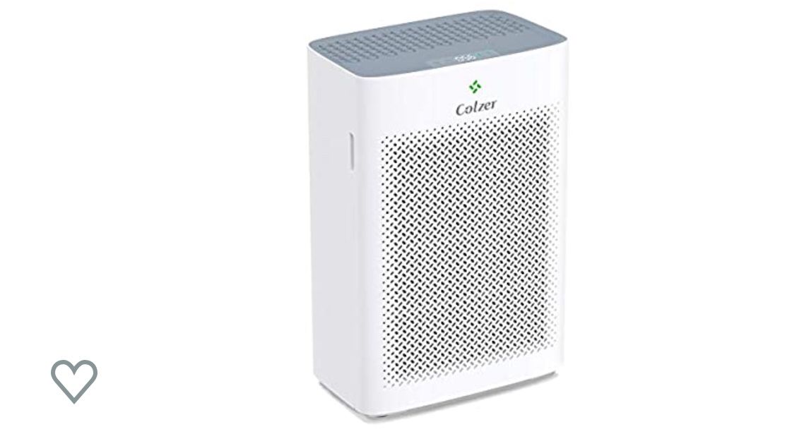Air Purifier with True HEPA Air Filter