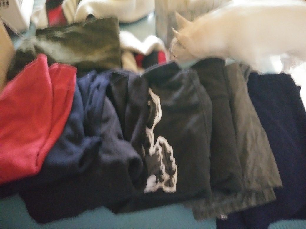 Sweaters med and large