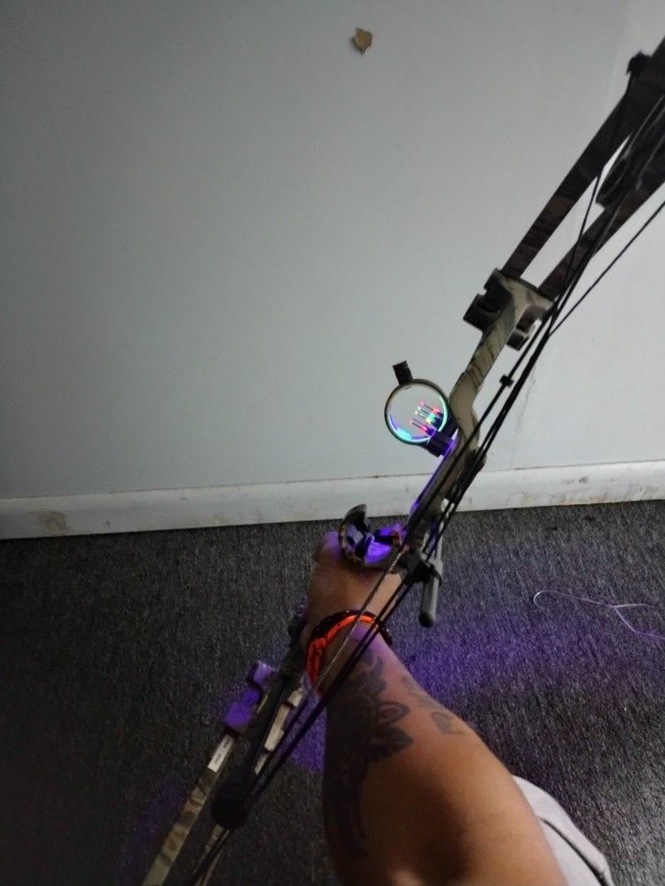 Compound Bow