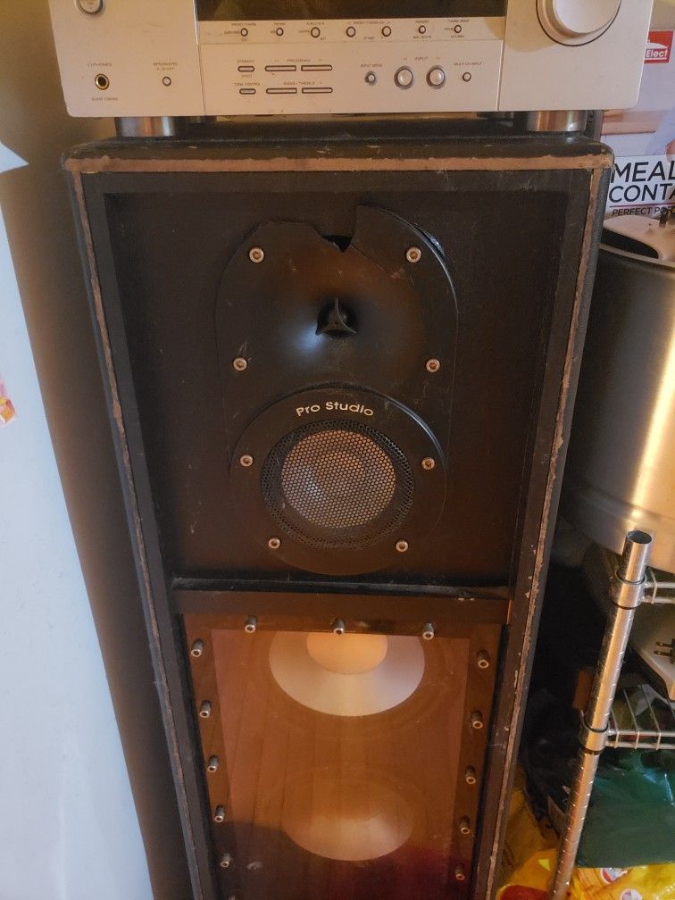 Pro Studio 2 15" Inch Subs With Tweeter And Voice