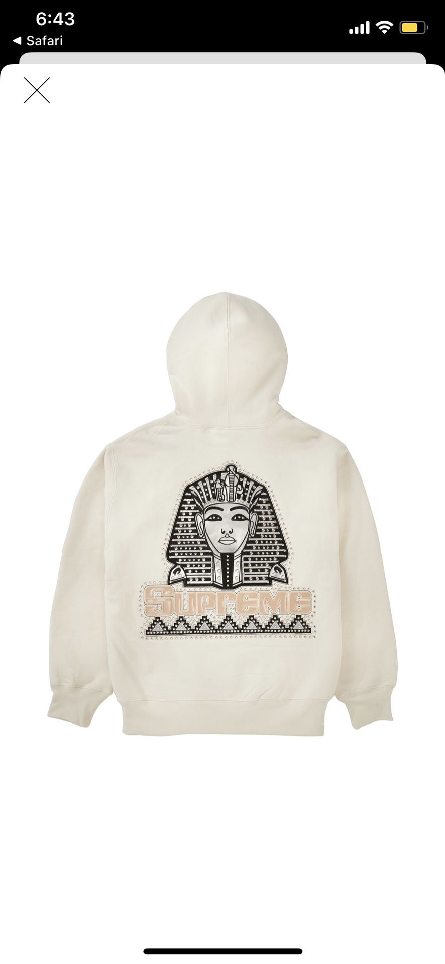 Supreme Pharaoh Studded Hooded Sweatshirt