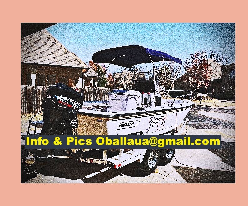 Boston 1996 Whaler Outrage 1