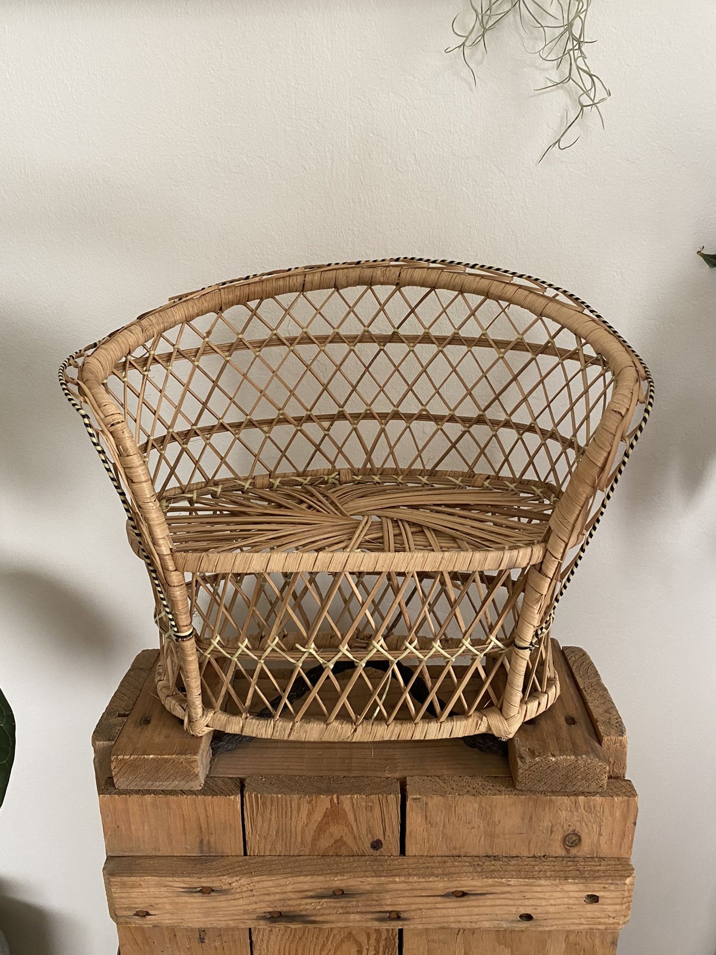 Vintage Rattan Peacock Double Seat Plant Chair