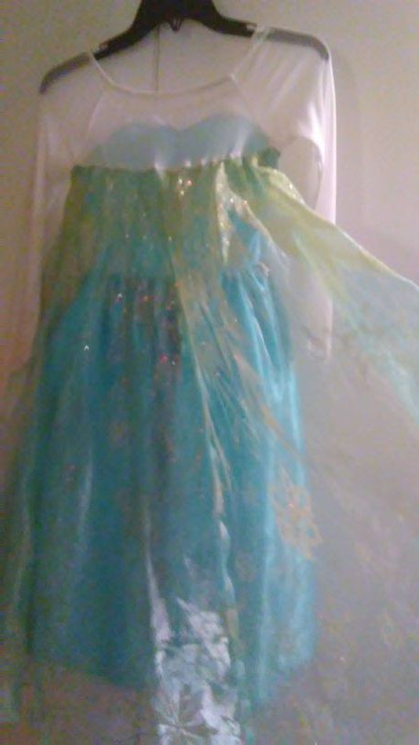 Elsa costume dress