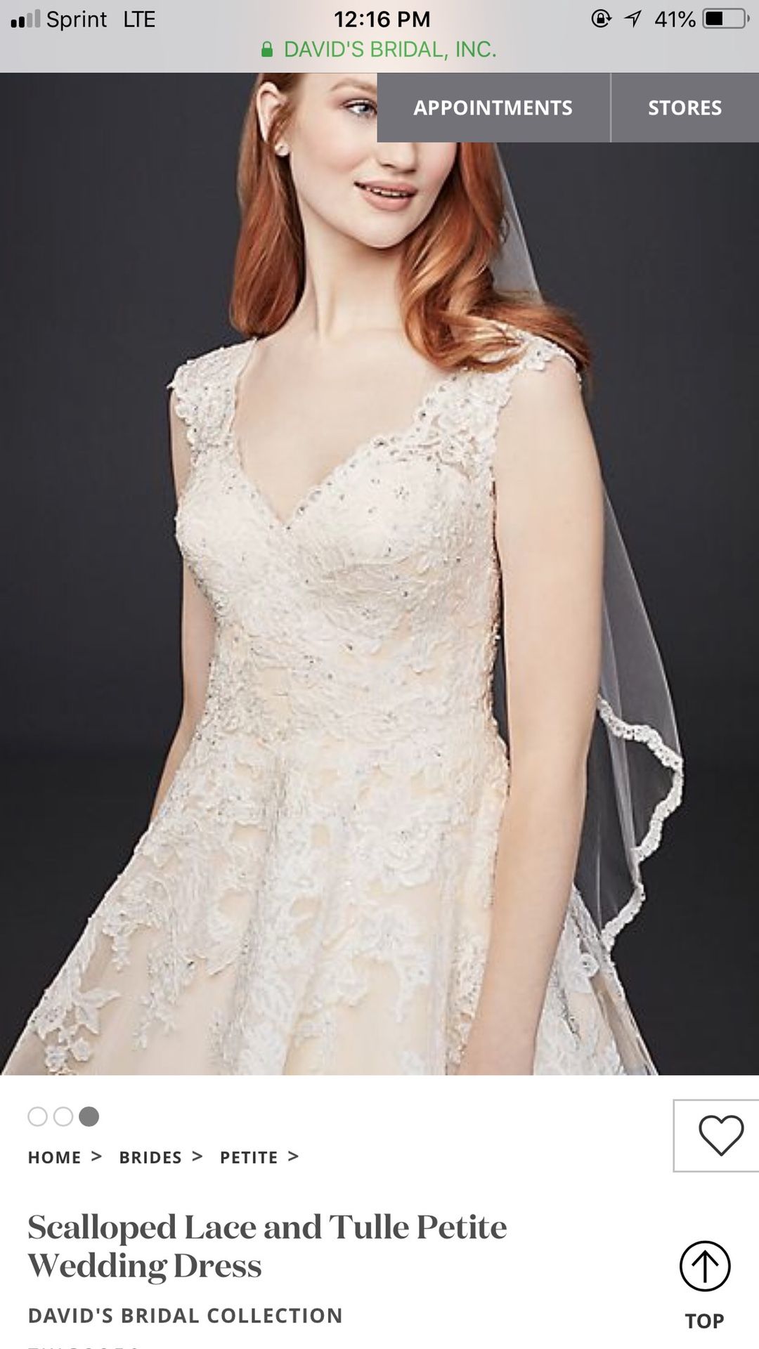 Wedding Dress 2P