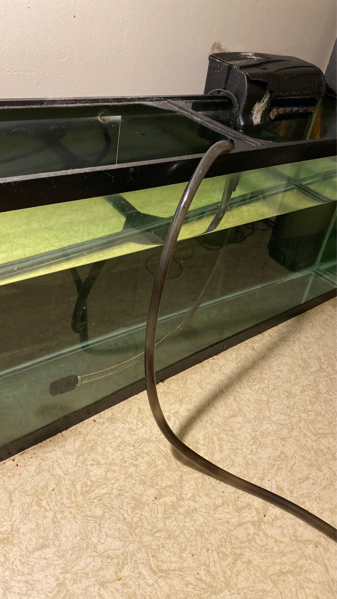 55 gallon tank with filter and accessories