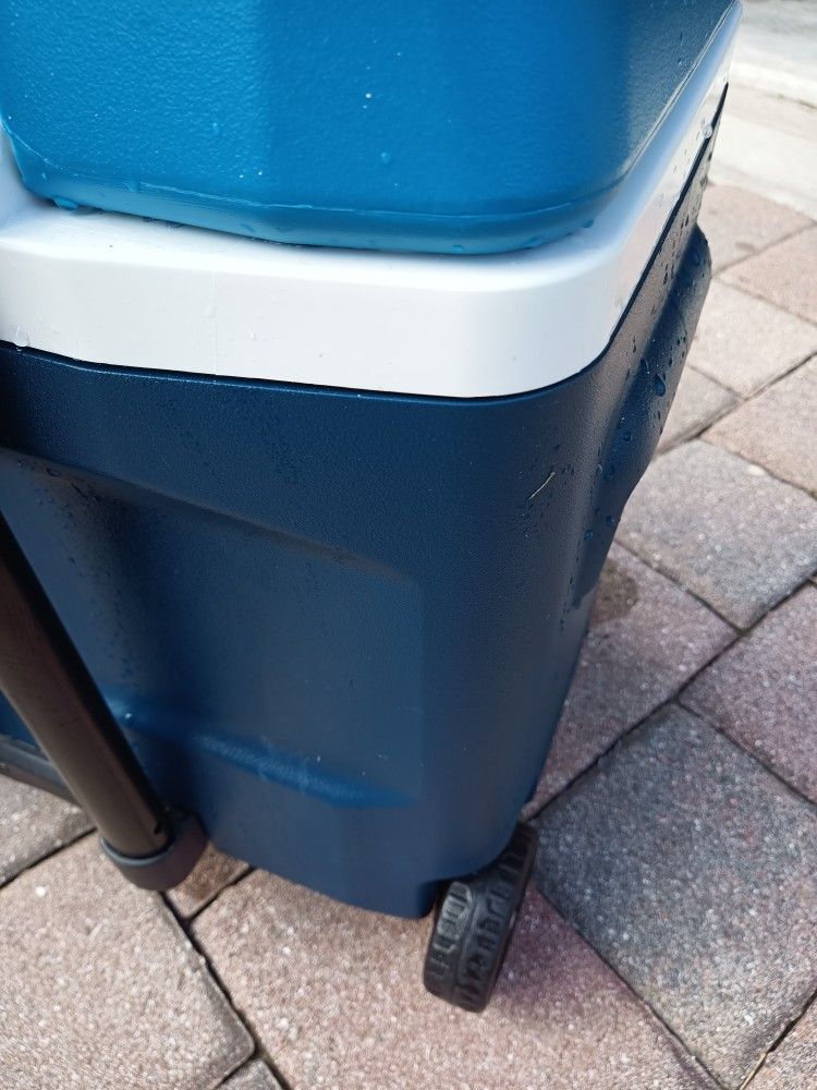 Igloo Cooler In New Condition
