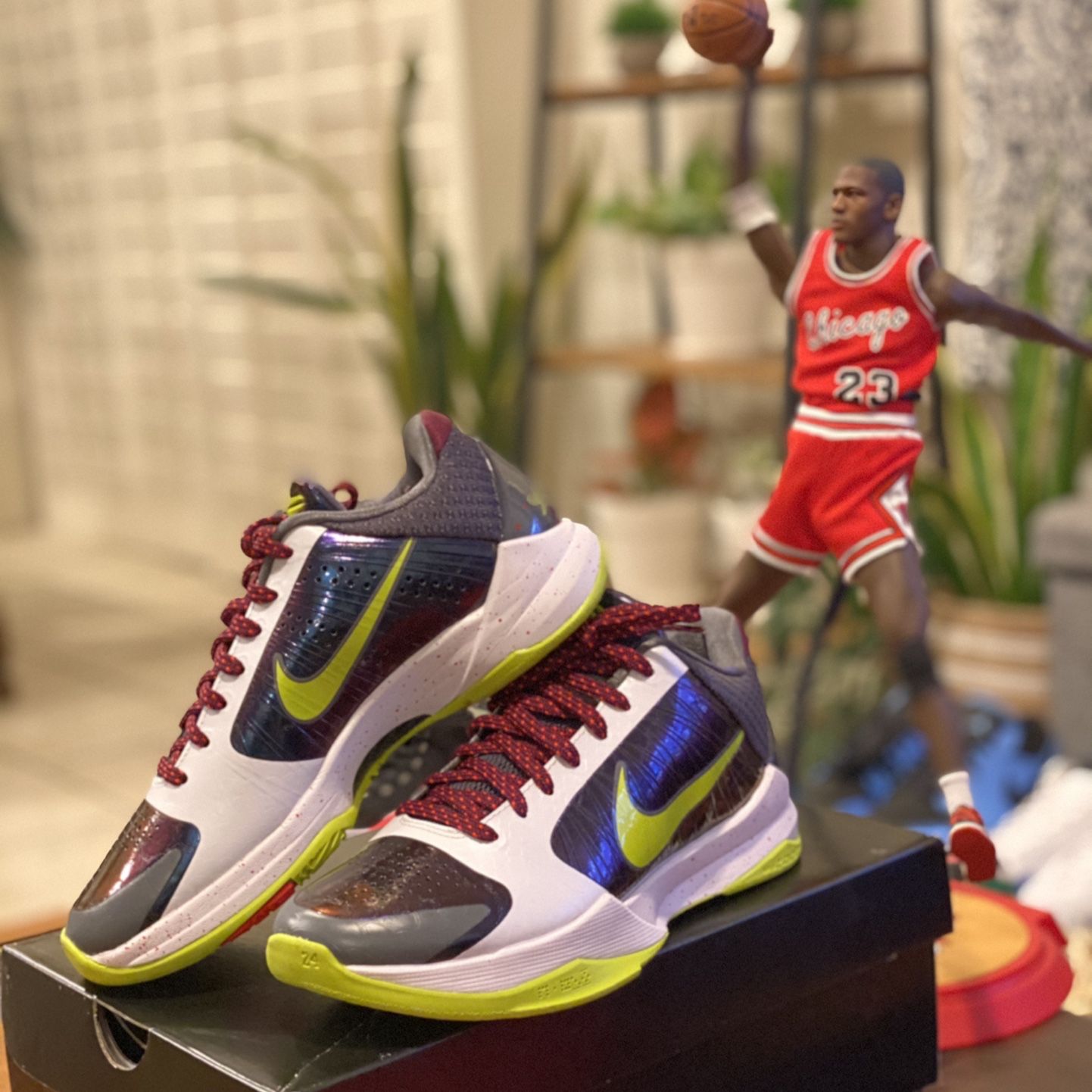 kobe 5 chaos