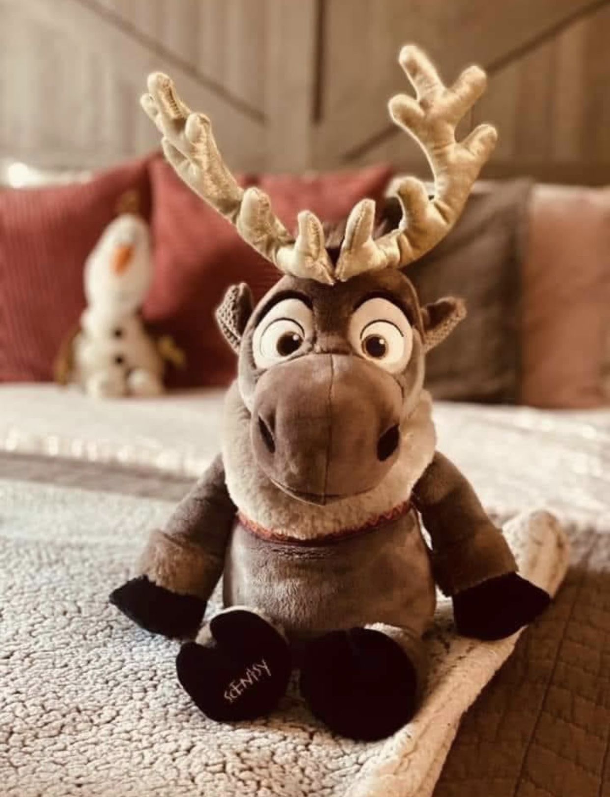 new moose scentsy buddy