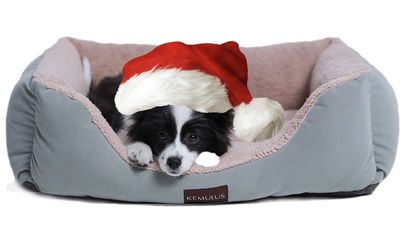 calming dog bed Thumbnail