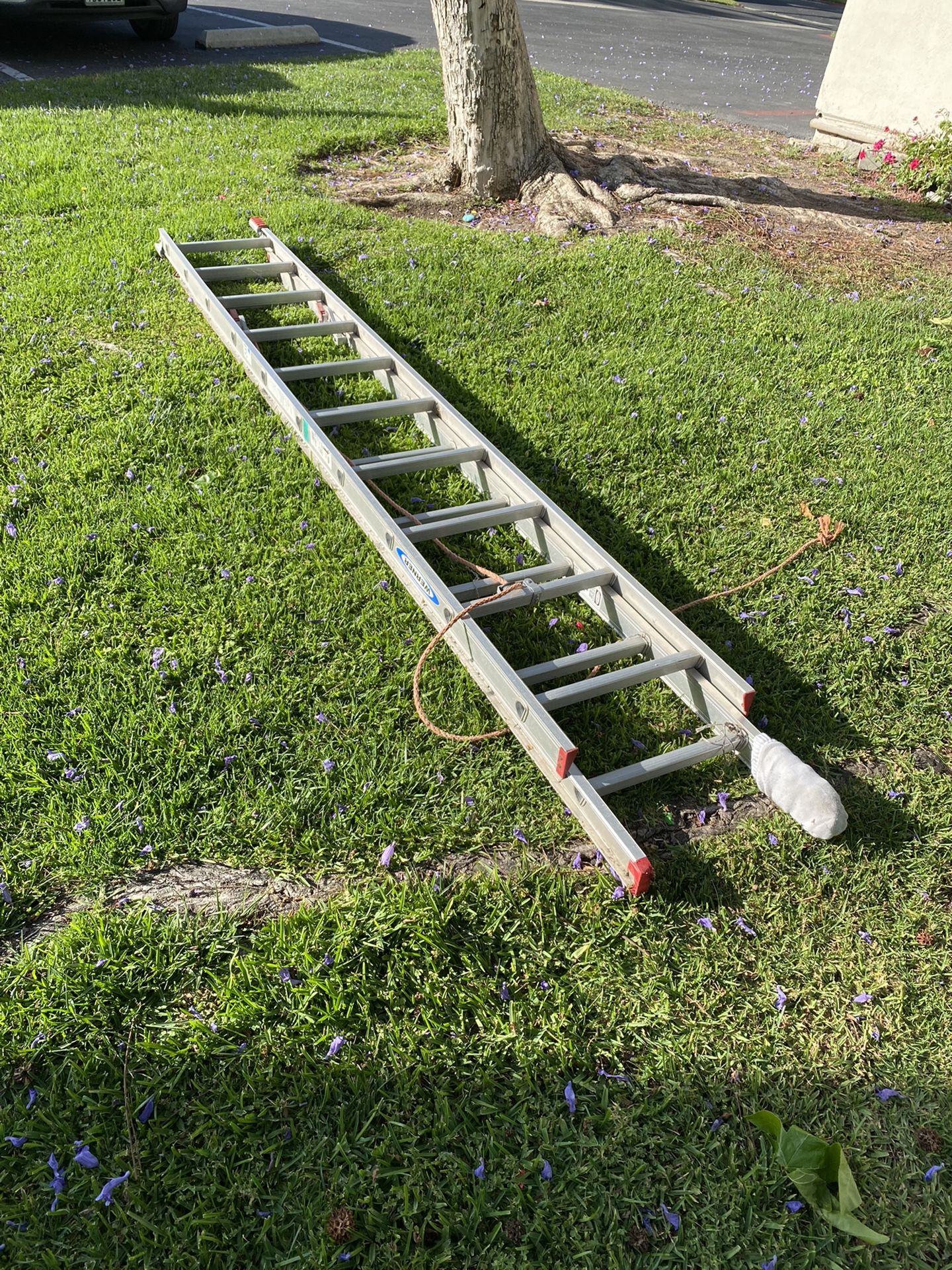 Long Ladder