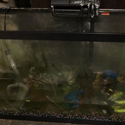 50 Gallon  Fish Tank  Includes 2 Heaters And Pump  Thumbnail