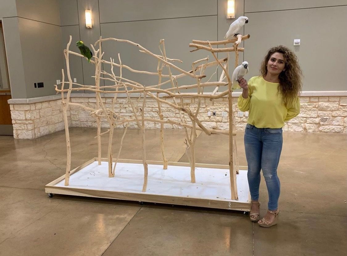Bird Stand | Parrot Tree | Wooden Art | Play Jungle | Organic Wood | Macaw | Cockatoo | Cockatiel | Big Stand | Small Stand | Perches For Pet Bird
