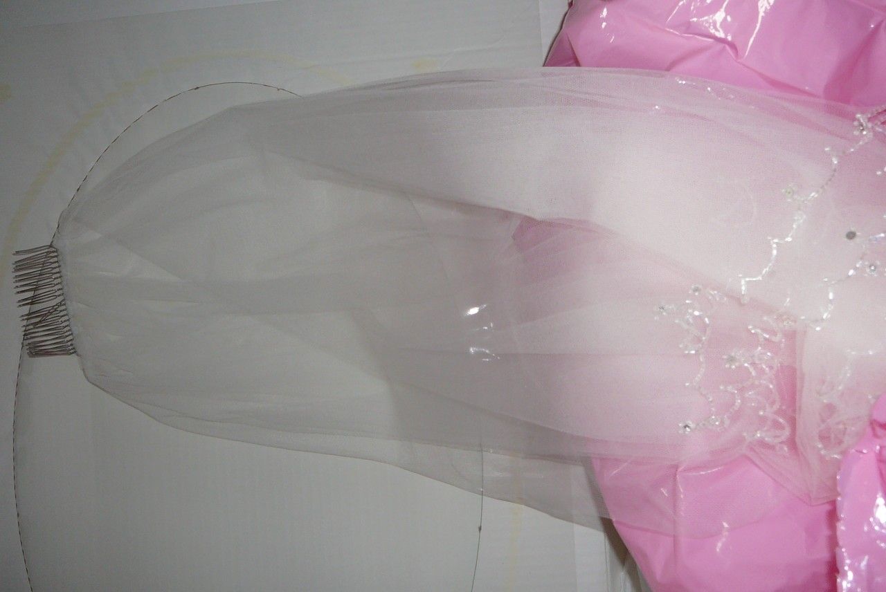 Wedding dress and veil