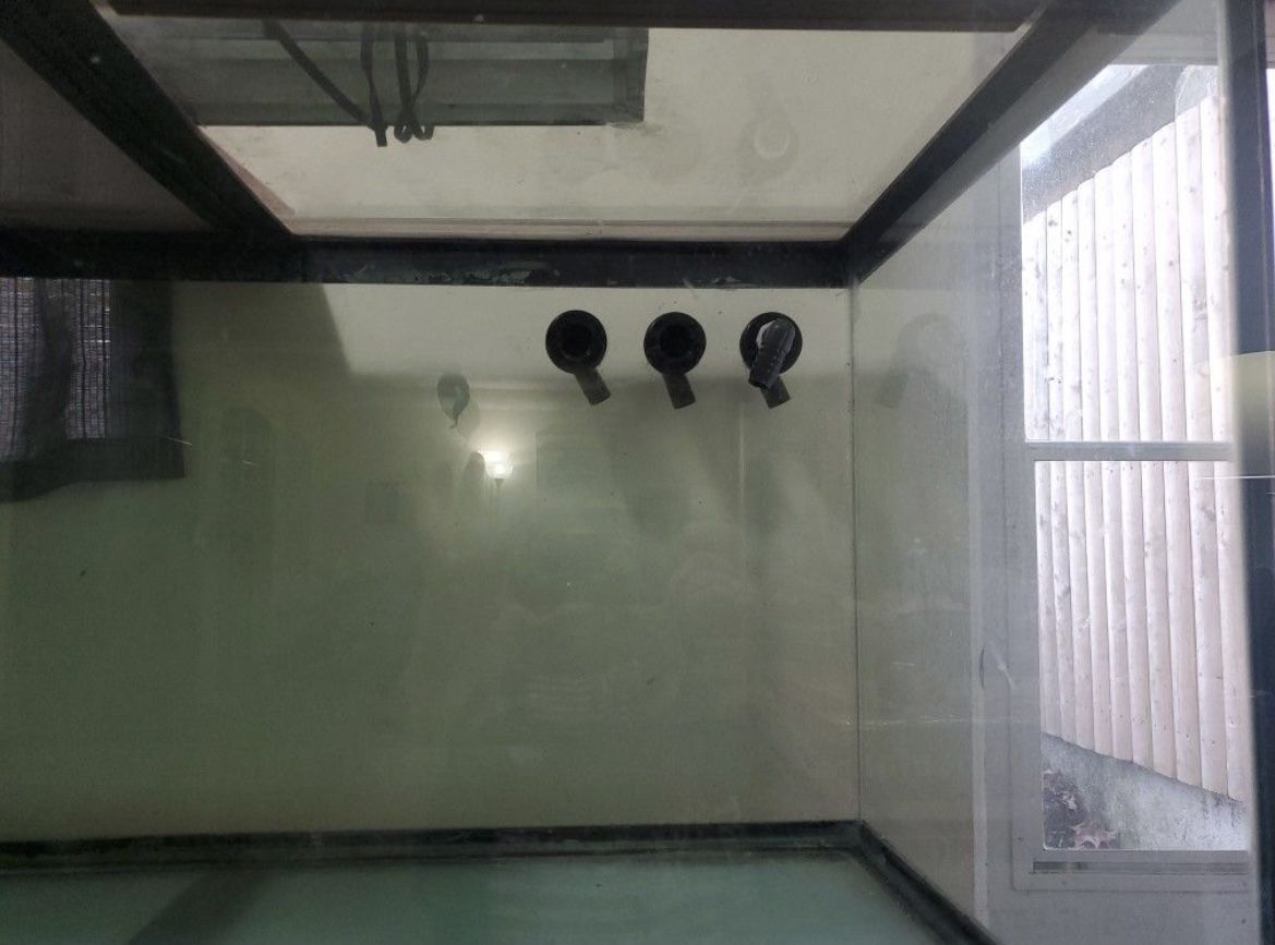 180 gallon fish tank