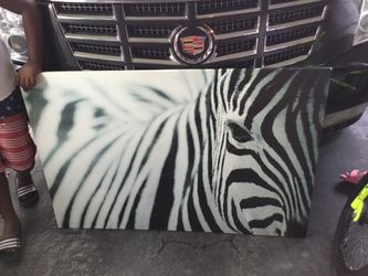 Zebra print Thumbnail