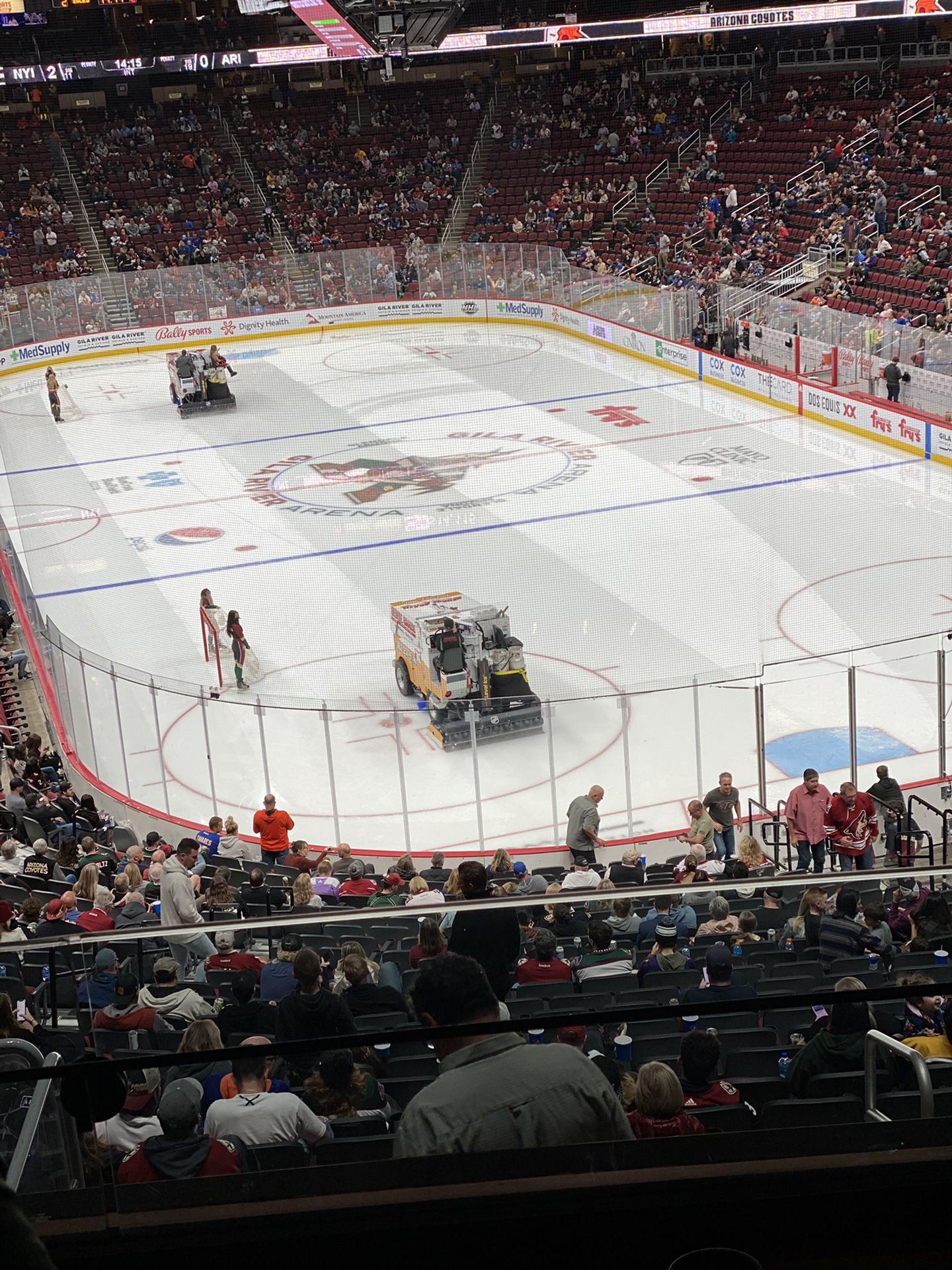 Coyotes Vs Oilers