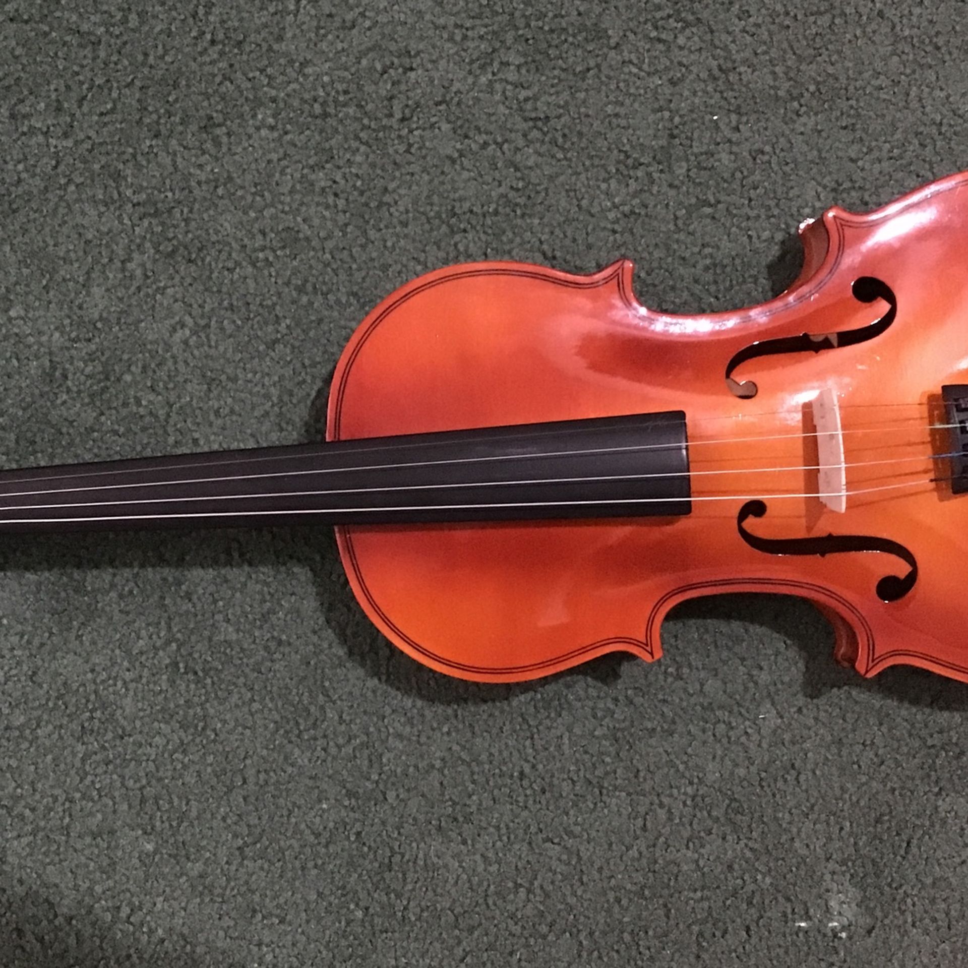 Violin For Repair (4/4)