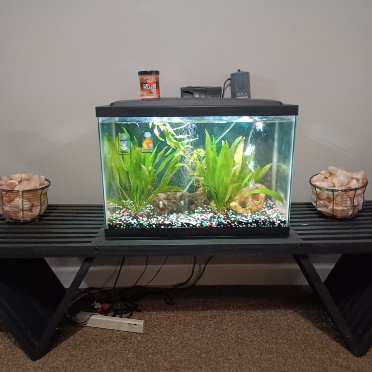 Establish Live Plant Tank With 7 Cory Cats And Stand 