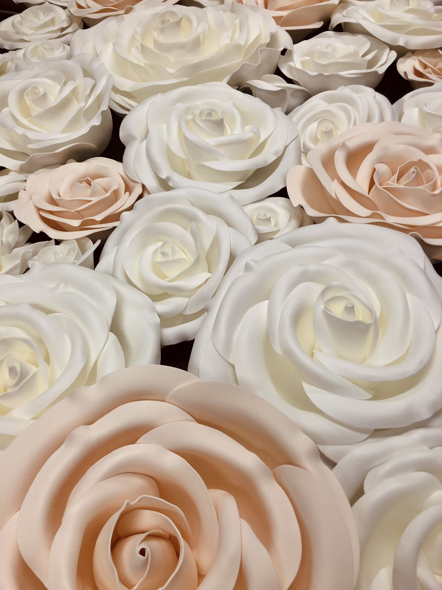 Giant Roses for Wall decor/Backdrop
