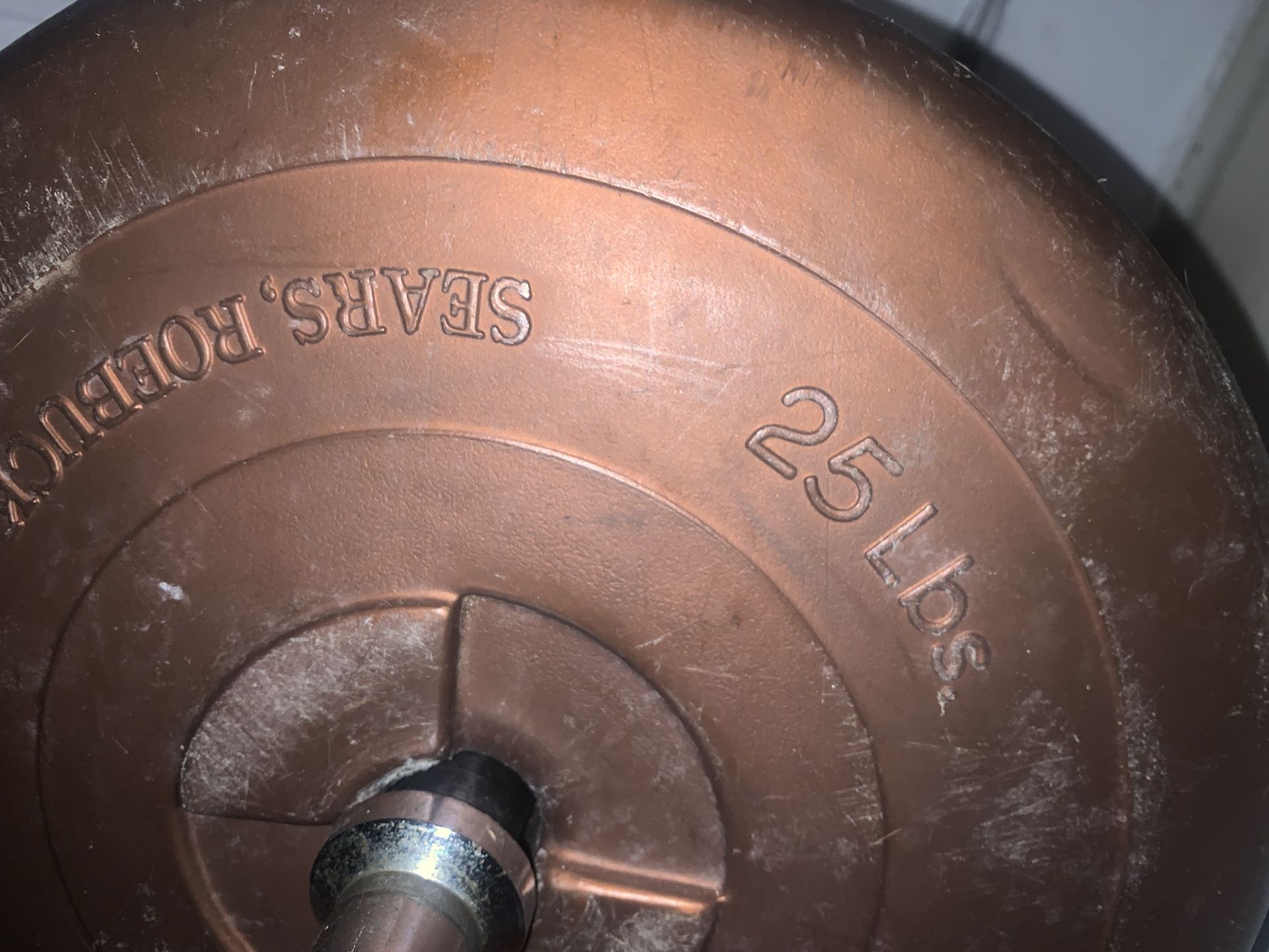 curl bar( cleaned )