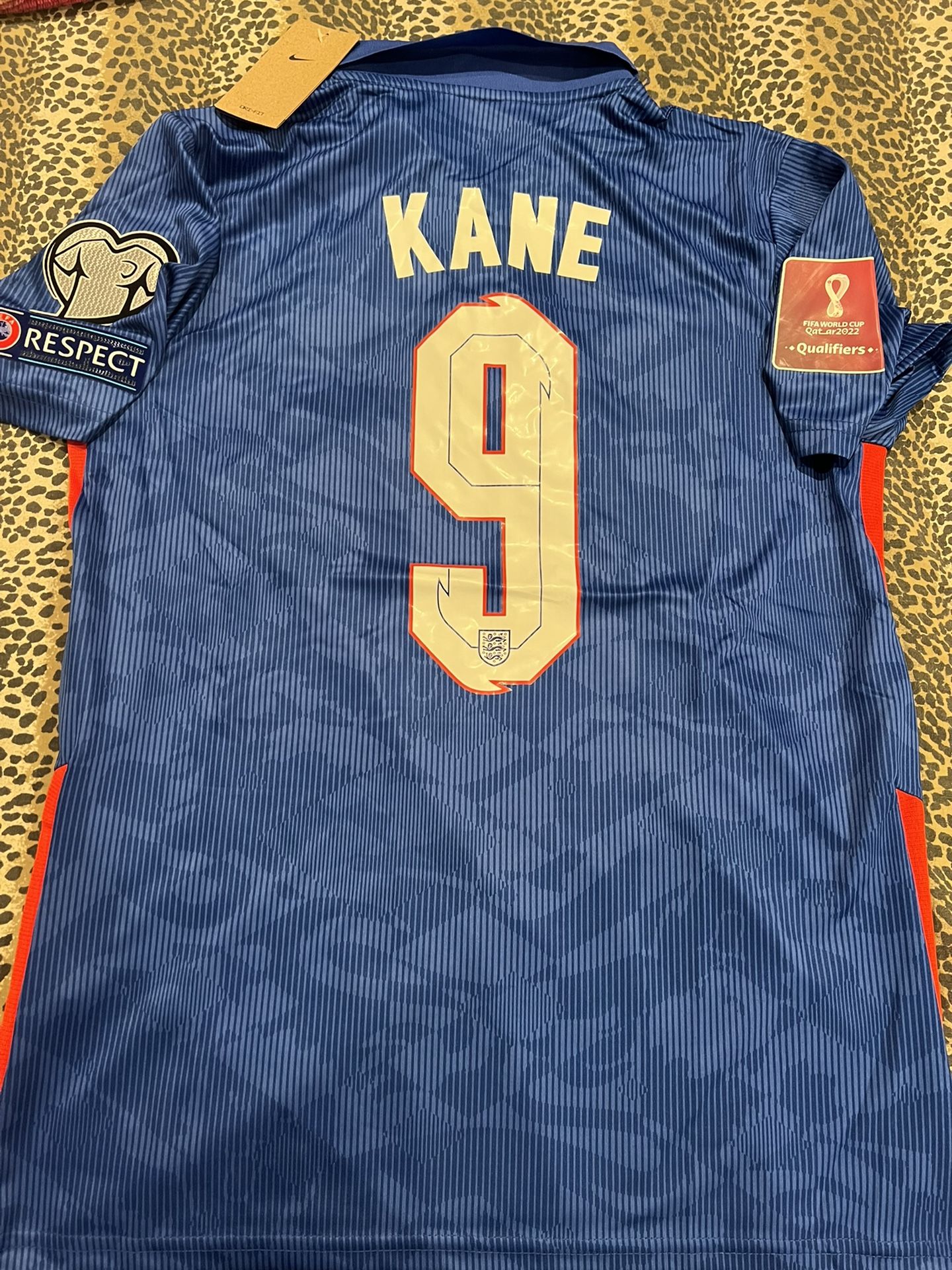Harry kane England National Football Team