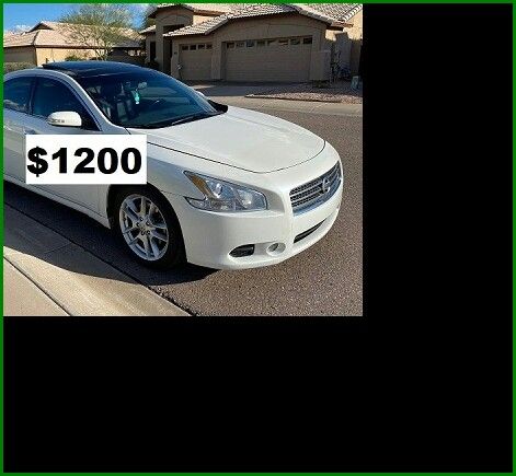 $1200 MAxima SV