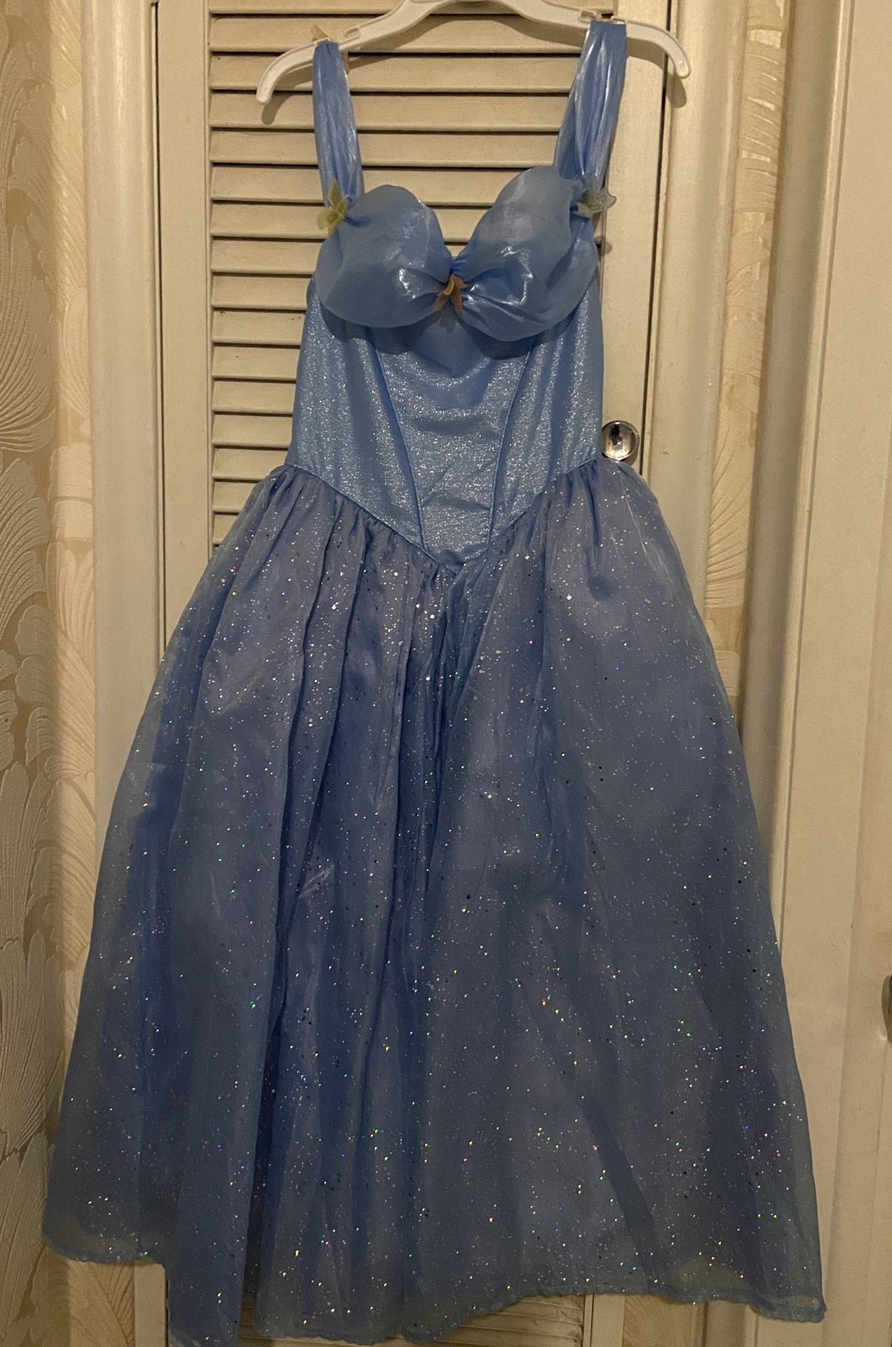 Authentic Deluxe Disney Dresses