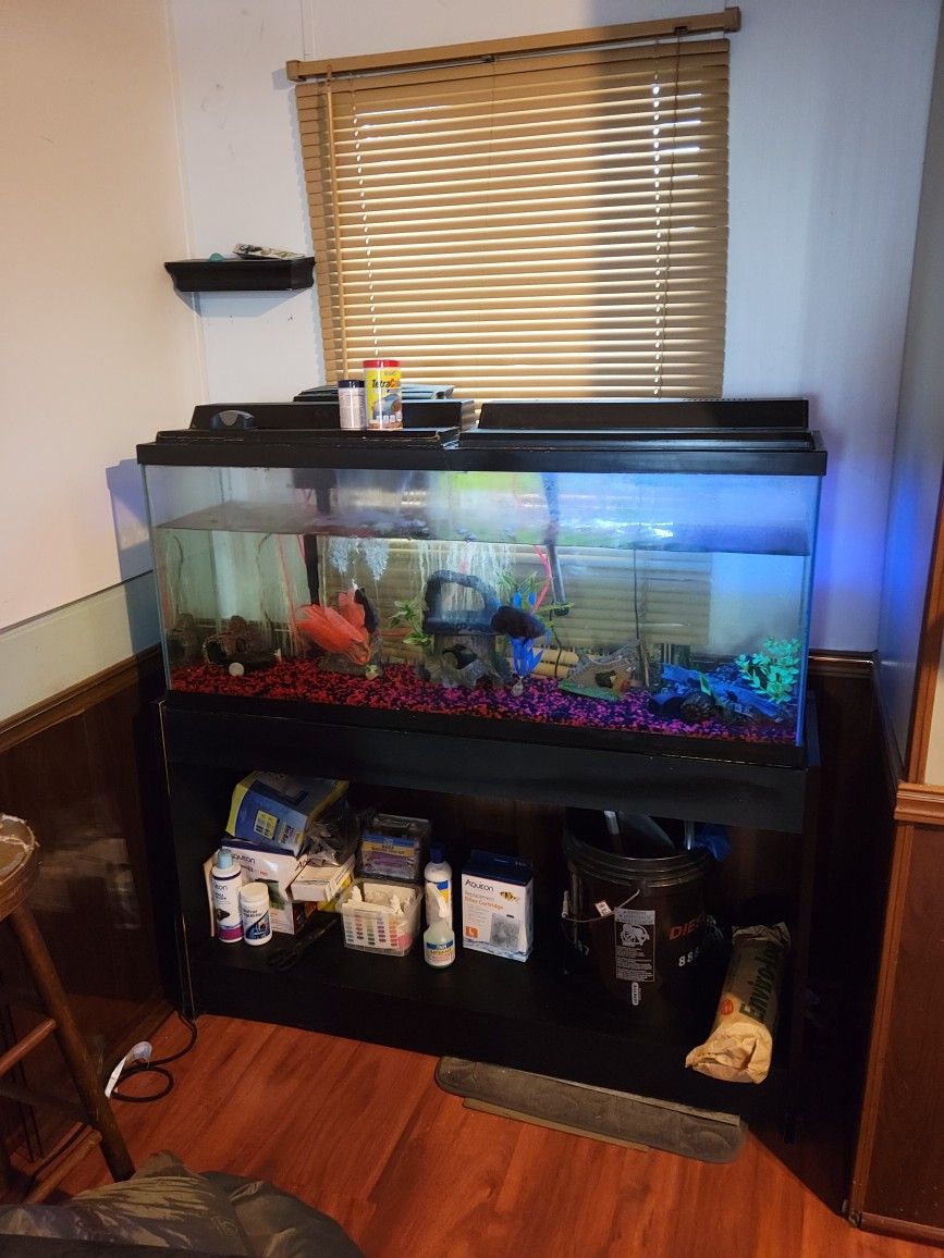 55 Gallon Tank & Stand - W/ 2 Oscars