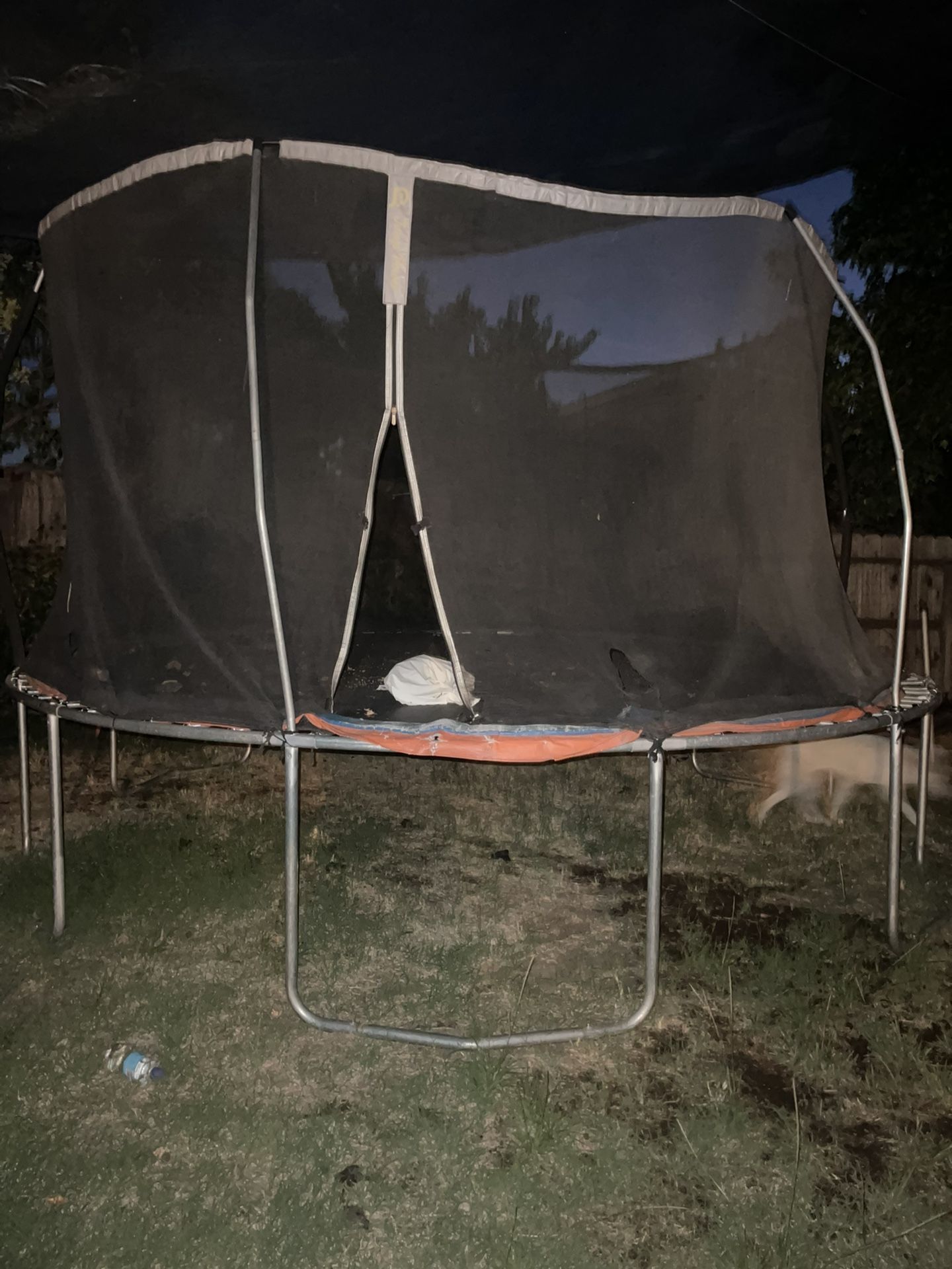 Trampoline