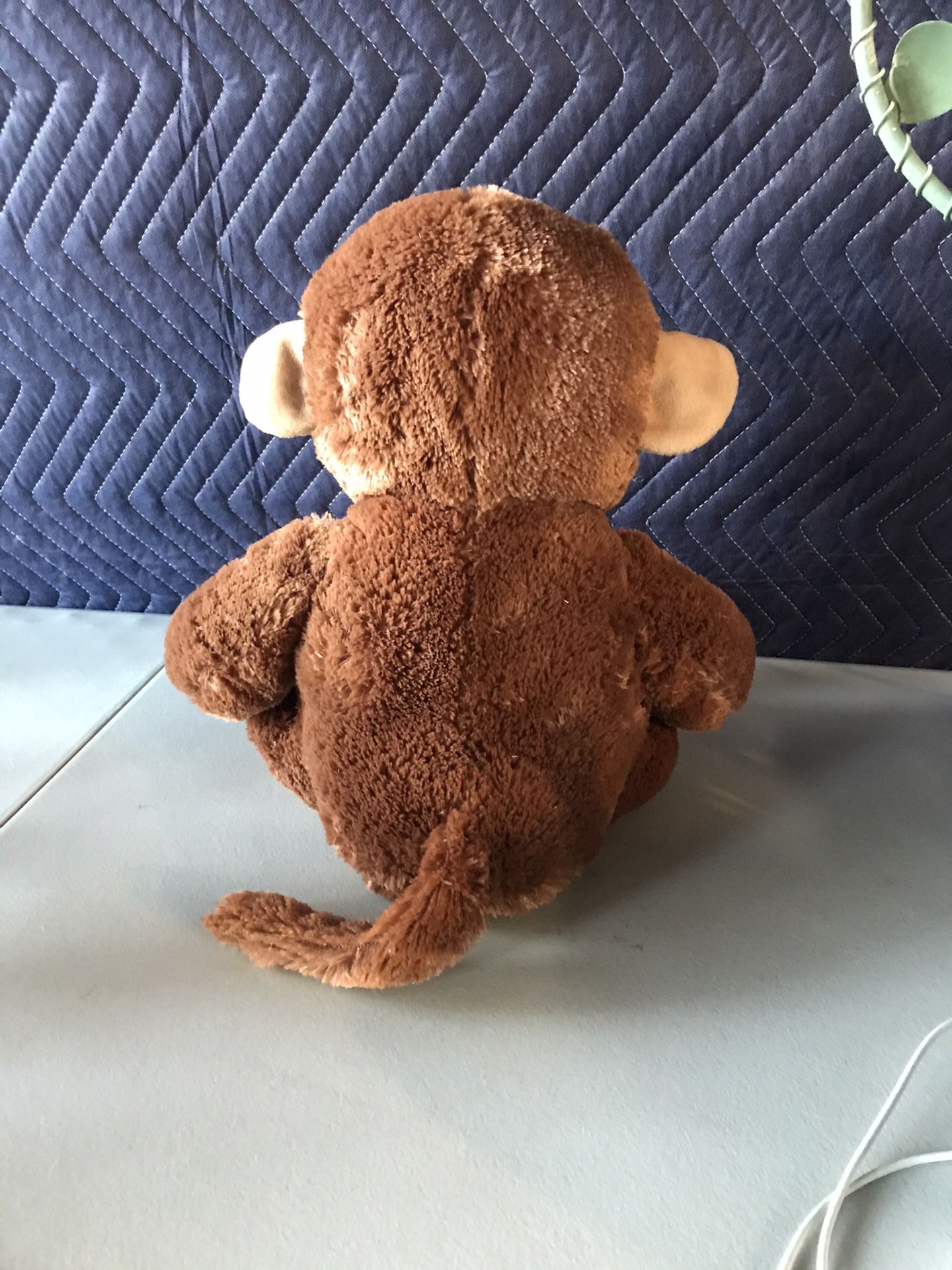 Monkey