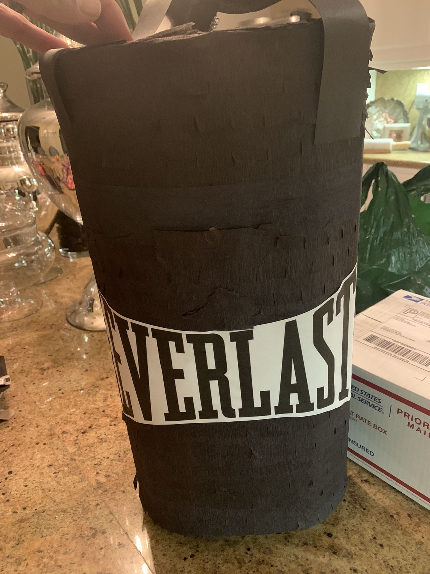 Piñata - Everlast punching bag