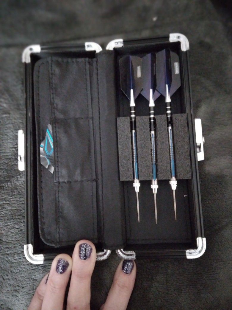 Titanium Professional Darts