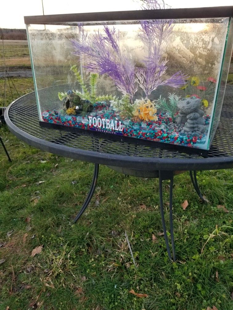 Fishtank 10 Gallon, With Decorations & Gravel