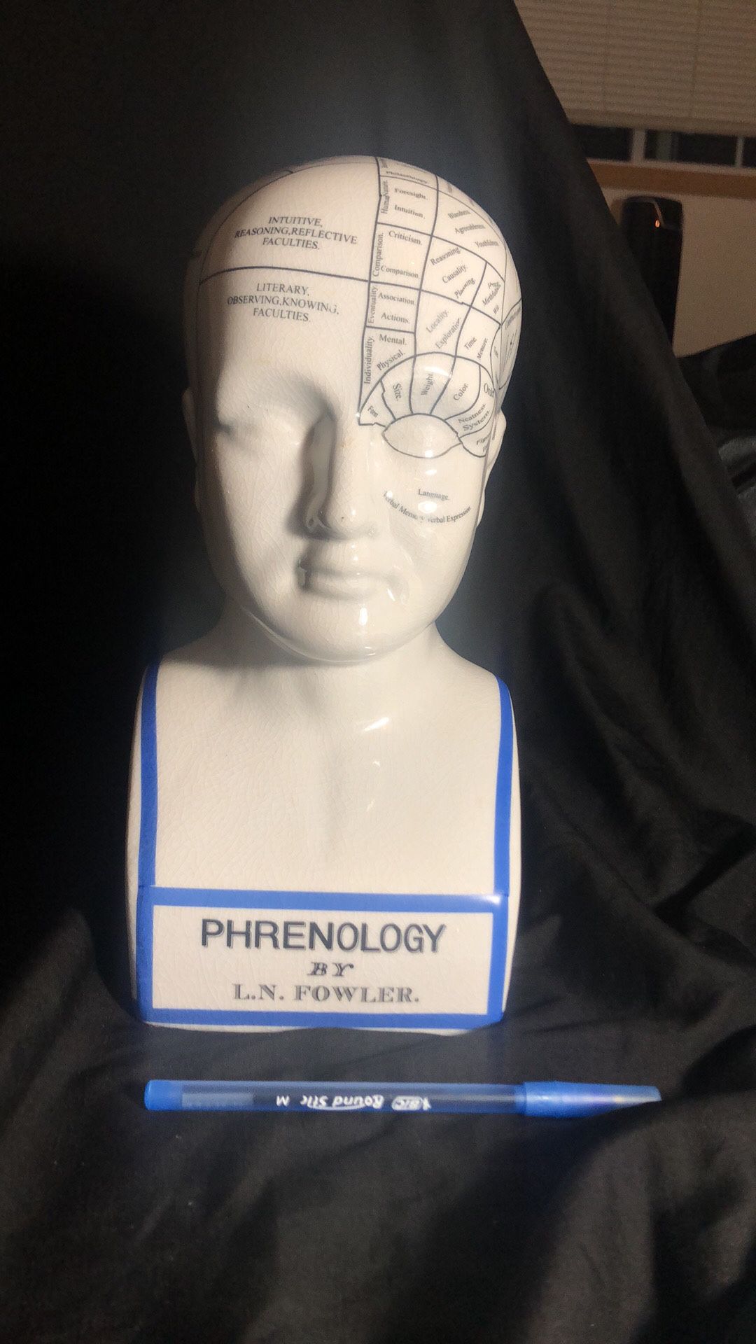 Phrenology Coin Bank Head Ceramic